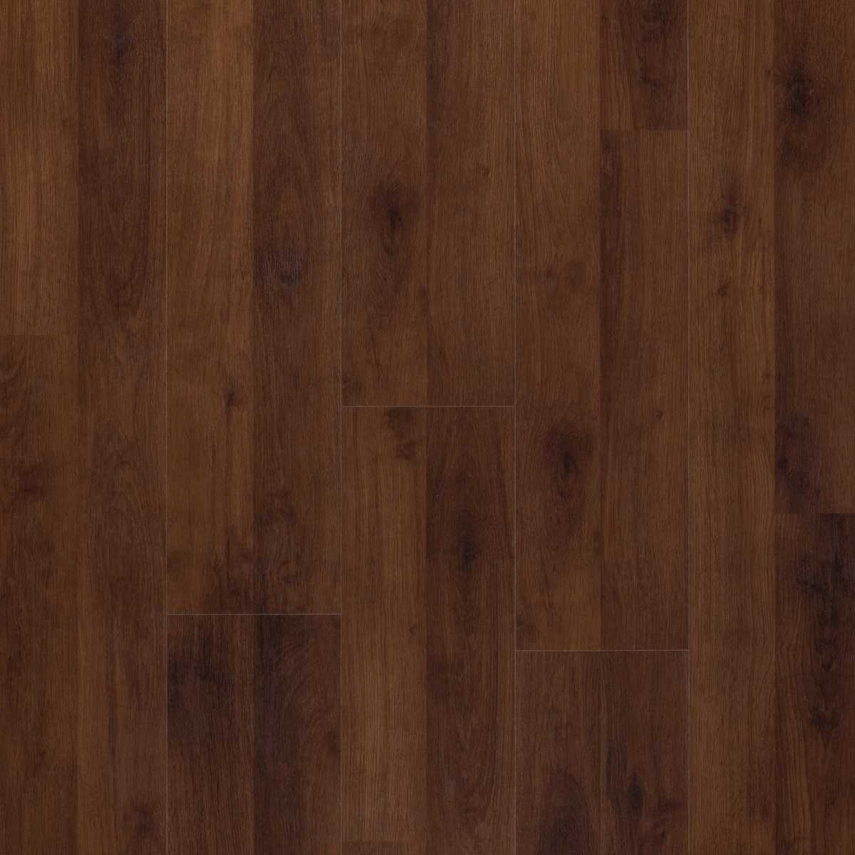 Hannover oak - Imagen 2